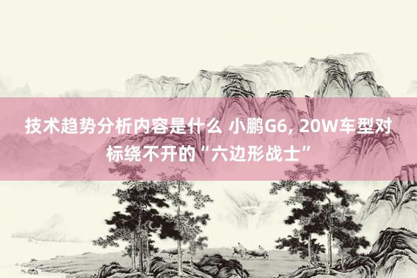 技术趋势分析内容是什么 小鹏G6, 20W车型对标绕不开的“六边形战士”