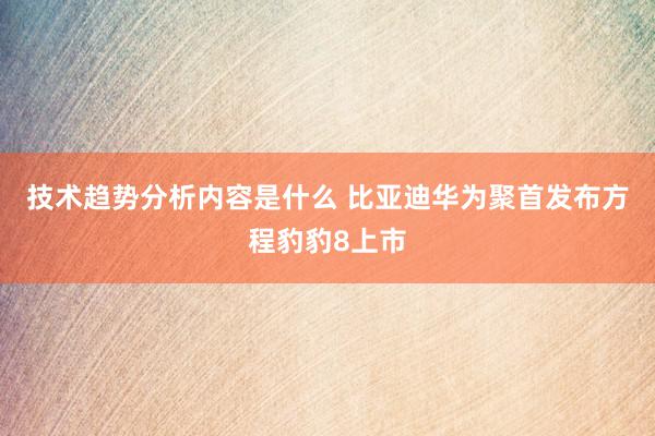 技术趋势分析内容是什么 比亚迪华为聚首发布方程豹豹8上市