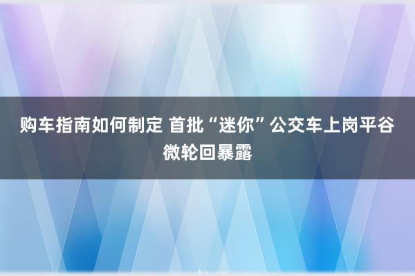 购车指南如何制定 首批“迷你”公交车上岗平谷微轮回暴露