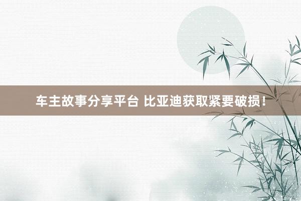 车主故事分享平台 比亚迪获取紧要破损！