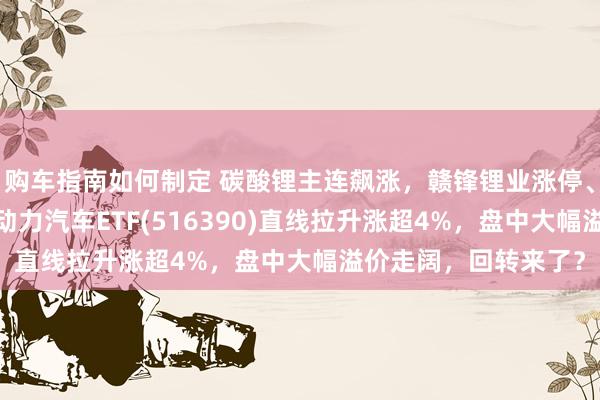 购车指南如何制定 碳酸锂主连飙涨，赣锋锂业涨停、宁德时期涨3%，新动力汽车ETF(516390)直线拉升涨超4%，盘中大幅溢价走阔，回转来了？