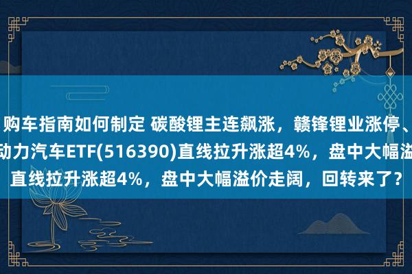 购车指南如何制定 碳酸锂主连飙涨，赣锋锂业涨停、宁德期间涨3%，新动力汽车ETF(516390)直线拉升涨超4%，盘中大幅溢价走阔，回转来了？