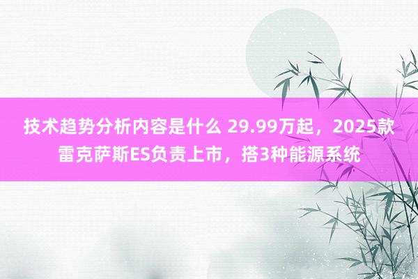 技术趋势分析内容是什么 29.99万起，2025款雷克萨斯ES负责上市，搭3种能源系统