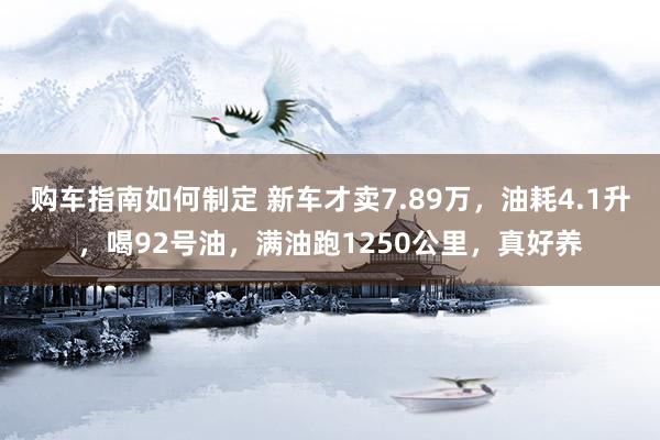 购车指南如何制定 新车才卖7.89万，油耗4.1升，喝92号油，满油跑1250公里，真好养