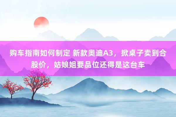 购车指南如何制定 新款奥迪A3，掀桌子卖到合股价，姑娘姐要品位还得是这台车