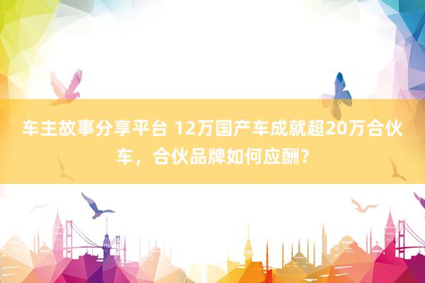 车主故事分享平台 12万国产车成就超20万合伙车，合伙品牌如何应酬？