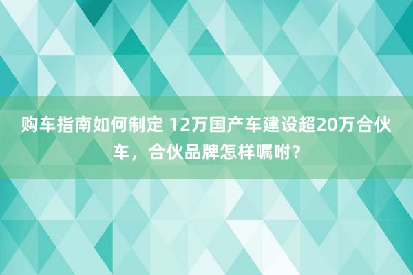 购车指南如何制定 12万国产车建设超20万合伙车，合伙品牌怎样嘱咐？