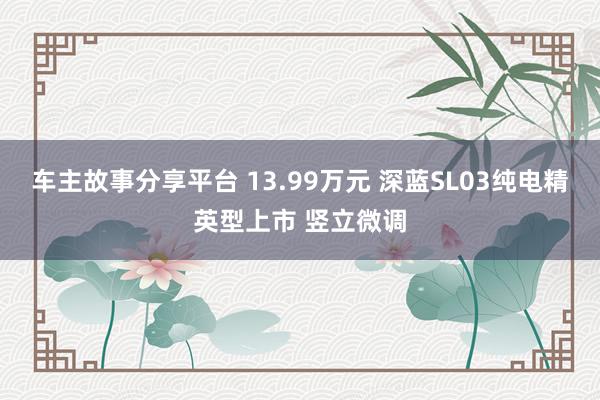 车主故事分享平台 13.99万元 深蓝SL03纯电精英型上市 竖立微调