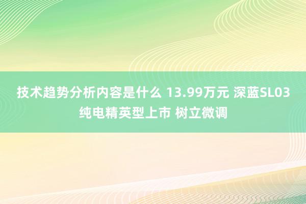 技术趋势分析内容是什么 13.99万元 深蓝SL03纯电精英型上市 树立微调