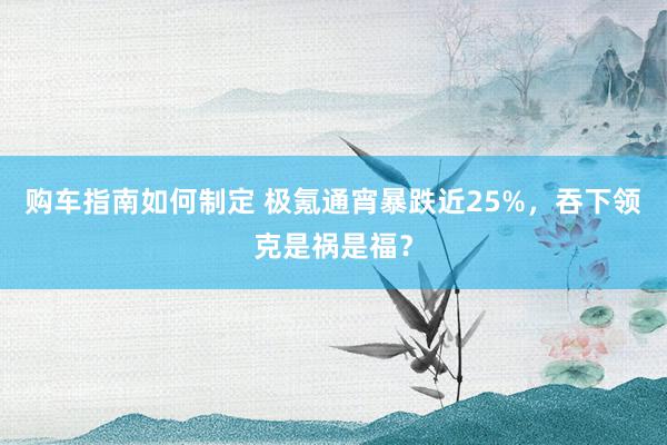 购车指南如何制定 极氪通宵暴跌近25%，吞下领克是祸是福？