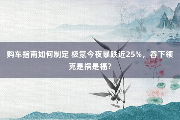 购车指南如何制定 极氪今夜暴跌近25%，吞下领克是祸是福？