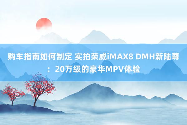 购车指南如何制定 实拍荣威iMAX8 DMH新陆尊：20万级的豪华MPV体验