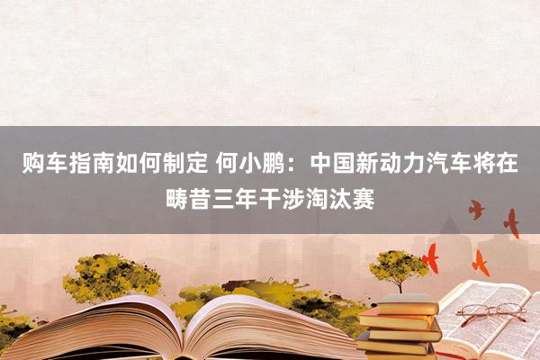 购车指南如何制定 何小鹏：中国新动力汽车将在畴昔三年干涉淘汰赛