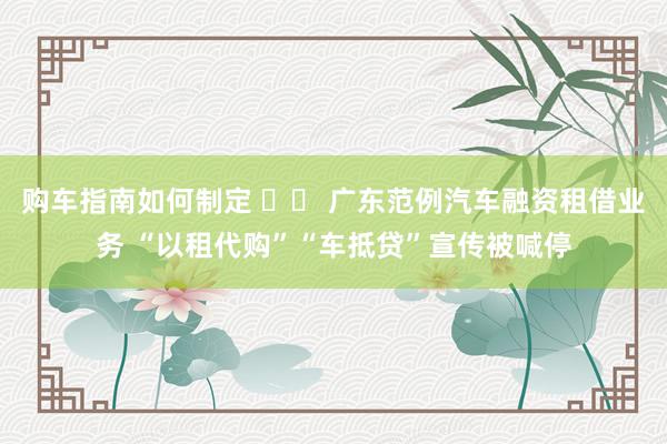 购车指南如何制定 		 广东范例汽车融资租借业务 “以租代购”“车抵贷”宣传被喊停