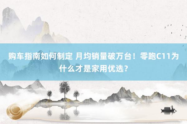 购车指南如何制定 月均销量破万台！零跑C11为什么才是家用优选？