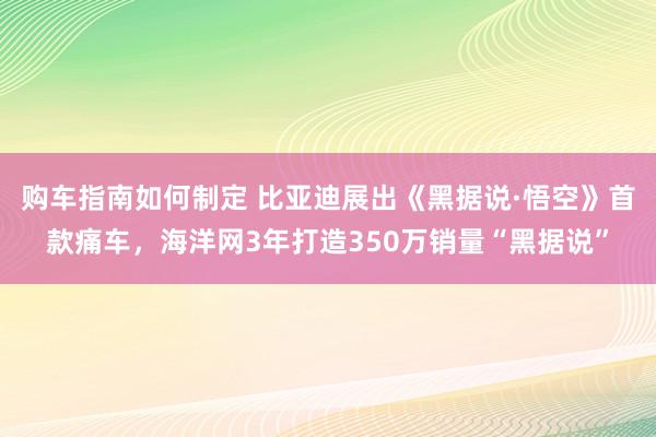 购车指南如何制定 比亚迪展出《黑据说·悟空》首款痛车，海洋网3年打造350万销量“黑据说”