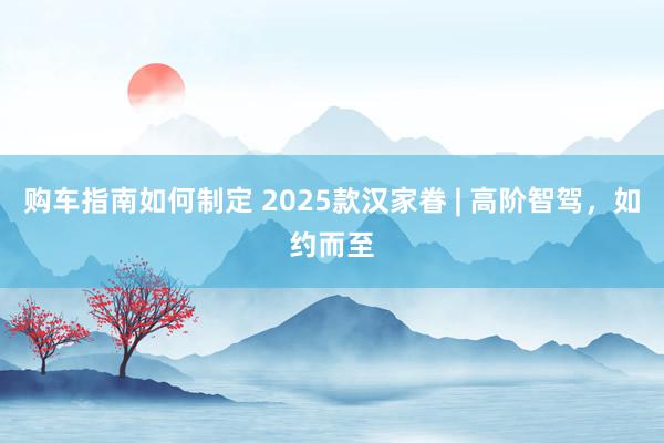 购车指南如何制定 2025款汉家眷 | 高阶智驾，如约而至