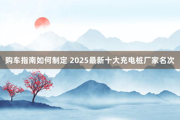 购车指南如何制定 2025最新十大充电桩厂家名次