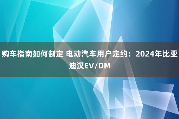 购车指南如何制定 电动汽车用户定约：2024年比亚迪汉EV/DM