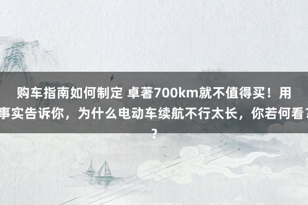 购车指南如何制定 卓著700km就不值得买！用事实告诉你，为什么电动车续航不行太长，你若何看？