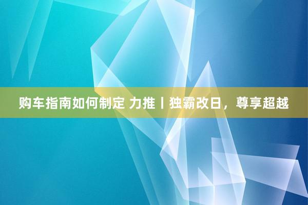 购车指南如何制定 力推丨独霸改日，尊享超越