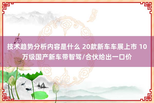 技术趋势分析内容是什么 20款新车车展上市 10万级国产新车带智驾/合伙给出一口价