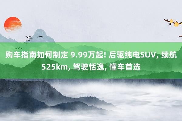 购车指南如何制定 9.99万起! 后驱纯电SUV, 续航525km, 驾驶恬逸, 懂车首选