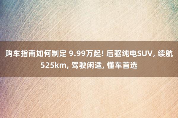 购车指南如何制定 9.99万起! 后驱纯电SUV, 续航525km, 驾驶闲适, 懂车首选