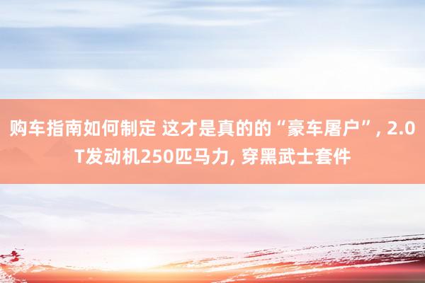 购车指南如何制定 这才是真的的“豪车屠户”, 2.0T发动机250匹马力, 穿黑武士套件