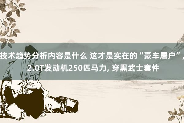 技术趋势分析内容是什么 这才是实在的“豪车屠户”, 2.0T发动机250匹马力, 穿黑武士套件