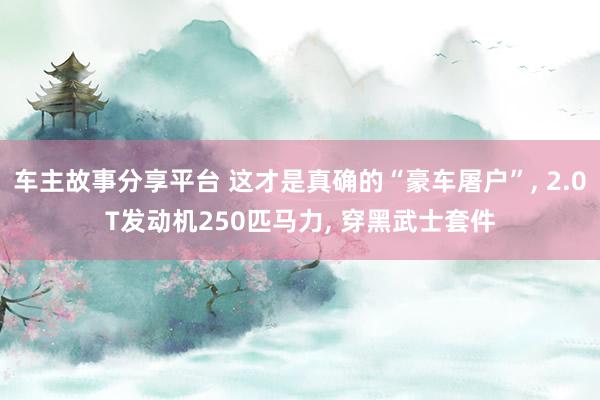 车主故事分享平台 这才是真确的“豪车屠户”, 2.0T发动机250匹马力, 穿黑武士套件