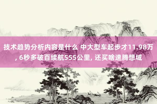 技术趋势分析内容是什么 中大型车起步才11.98万, 6秒多破百续航555公里, 还买啥速腾想域