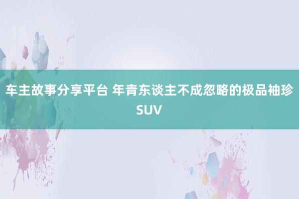 车主故事分享平台 年青东谈主不成忽略的极品袖珍SUV