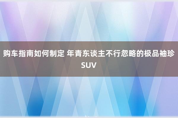 购车指南如何制定 年青东谈主不行忽略的极品袖珍SUV