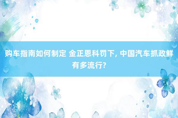 购车指南如何制定 金正恩科罚下, 中国汽车抓政鲜有多流行?