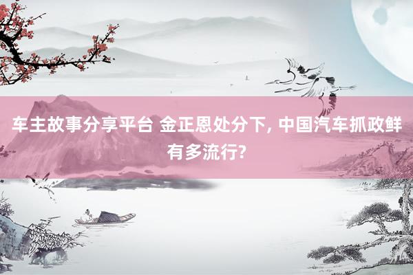 车主故事分享平台 金正恩处分下, 中国汽车抓政鲜有多流行?