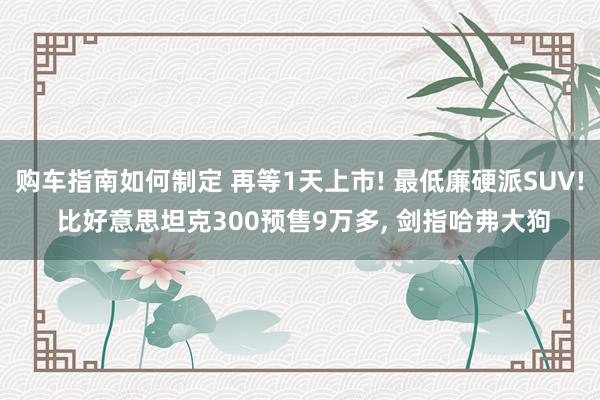 购车指南如何制定 再等1天上市! 最低廉硬派SUV! 比好意思坦克300预售9万多, 剑指哈弗大狗