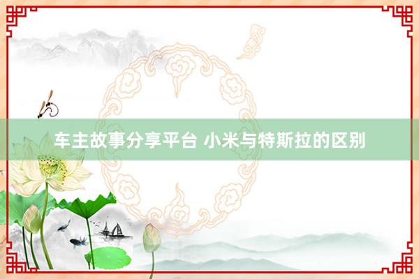 车主故事分享平台 小米与特斯拉的区别