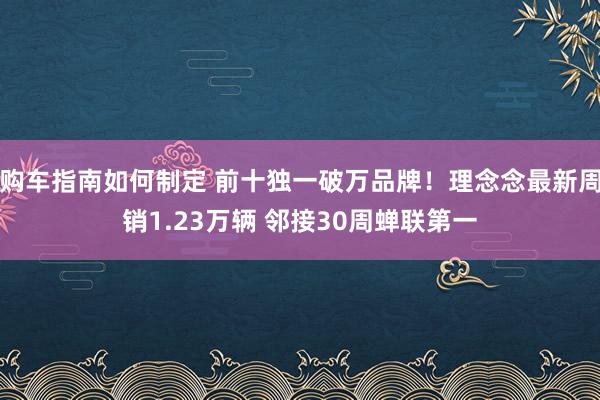 购车指南如何制定 前十独一破万品牌！理念念最新周销1.23万辆 邻接30周蝉联第一