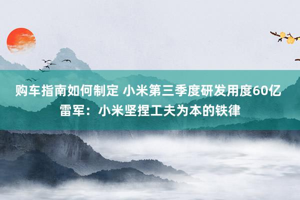 购车指南如何制定 小米第三季度研发用度60亿 雷军：小米坚捏工夫为本的铁律