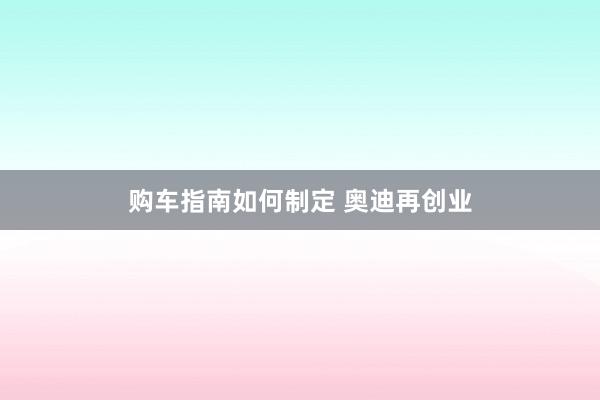 购车指南如何制定 奥迪再创业