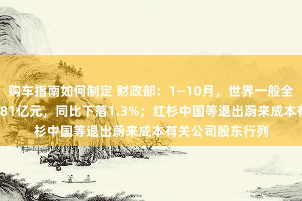 购车指南如何制定 财政部：1—10月，世界一般全球预算收入184981亿元，同比下落1.3%；红杉中国等退出蔚来成本有关公司股东行列