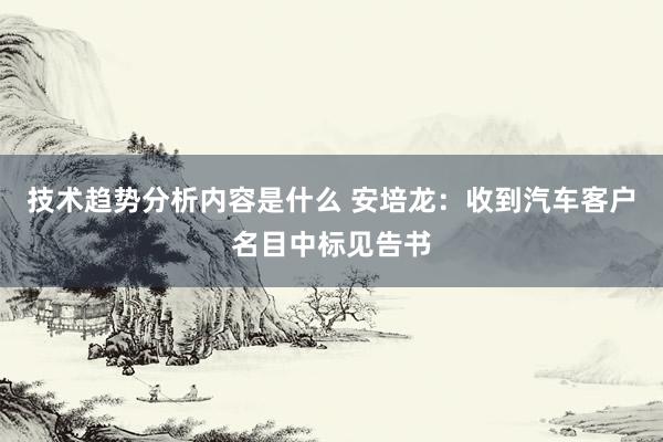 技术趋势分析内容是什么 安培龙：收到汽车客户名目中标见告书