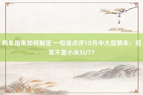 购车指南如何制定 一句话点评10月中大型轿车：冠军不是小米SU7？