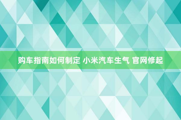 购车指南如何制定 小米汽车生气 官网修起