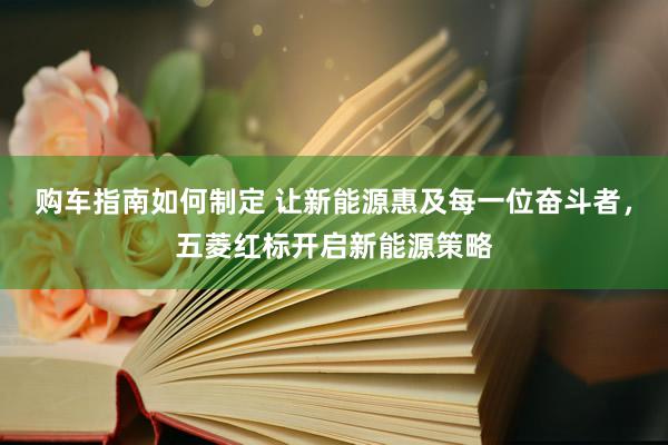 购车指南如何制定 让新能源惠及每一位奋斗者，五菱红标开启新能源策略