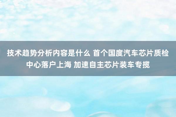 技术趋势分析内容是什么 首个国度汽车芯片质检中心落户上海 加速自主芯片装车专揽