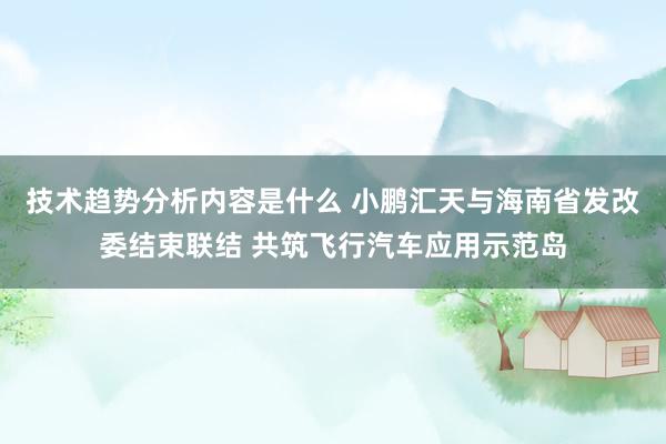 技术趋势分析内容是什么 小鹏汇天与海南省发改委结束联结 共筑飞行汽车应用示范岛