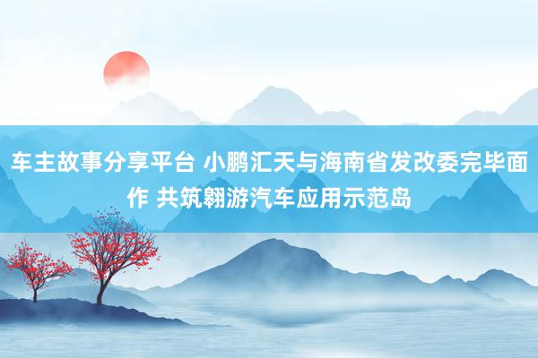 车主故事分享平台 小鹏汇天与海南省发改委完毕面作 共筑翱游汽车应用示范岛