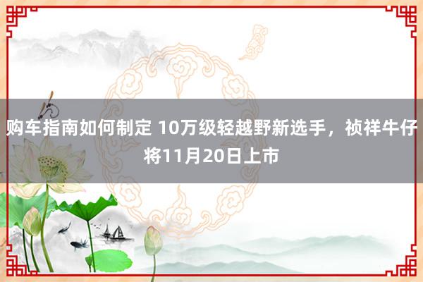 购车指南如何制定 10万级轻越野新选手，祯祥牛仔将11月20日上市